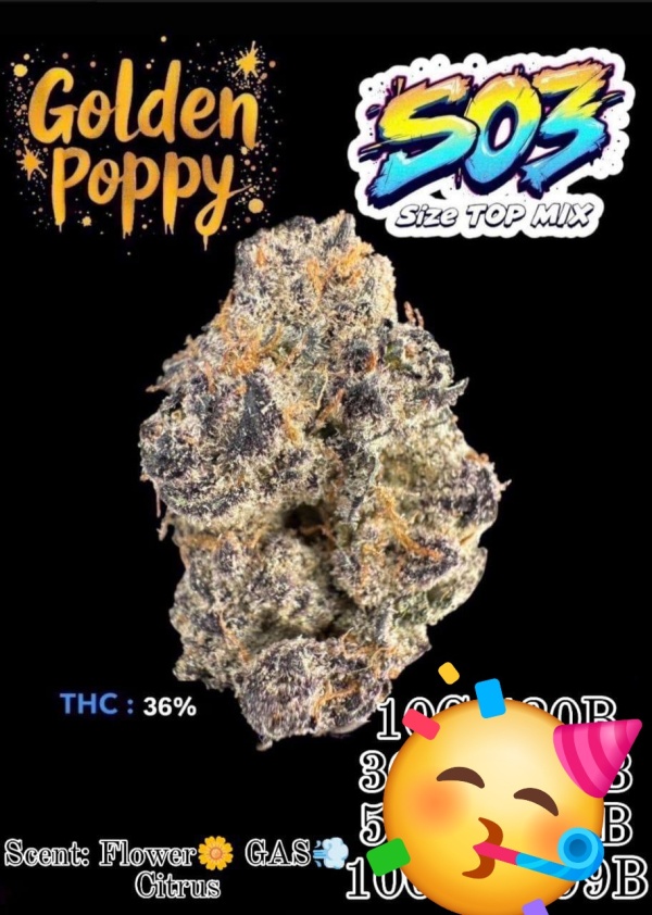 Telegram @xcxman Buy Cannabis online in China