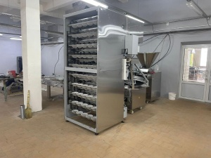 Шкаф предварительной расстойки Восход «БРИЗ плюс» В438