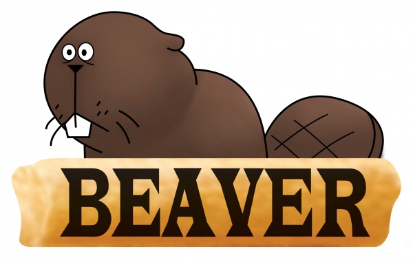 BEAVER KOREA