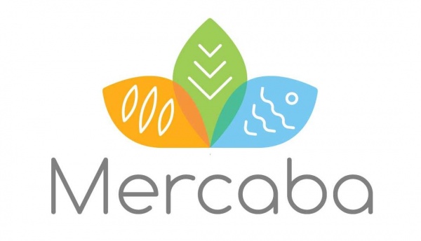 Mercaba