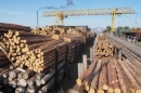 За последние пять лет экспорт делового круглого леса в России снизился на 60%