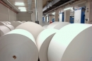 На 11% упал экспорт целлюлозно-бумажных изделий и древесины в России