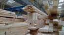 Россияне создают десять деревообрабатывающих предприятий в Шумилино