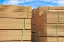За январь в России выпуск необработанных лесоматериалов снизился на 37%