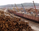 Снижение таможенных пошлин в рамках ВТО приведет к значительному увеличению экспорта круглого леса из России