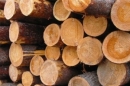 В 2013 г. экспорт круглого леса из Финляндии вырос на 3%