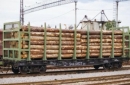Россия наращивает экспорт древесины в Европу