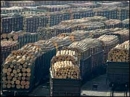 Китай стал главным импортером российской дальневосточной древесины в 2013 году