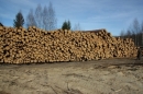 В Костромской области появятся китайские производства по лесопереработке и строительству