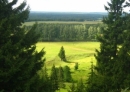 Правительство РФ утвердило план реализации госпрограммы «Развитие лесного хозяйства» на 2013-2020 годы