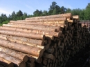 Доля России в импорте лесоматериалов в Финляндию составляет 73%