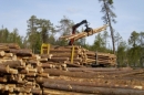 Лесопромышленный кластер даст толчок к развитию экономики Архангельской области