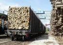 Россия остается для Финляндии крупнейшим импортером древесины