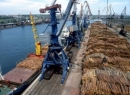 За 11 месяцев 2014 года перевалка лесных грузов морскими портами России увеличилась на 8,3%