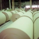 В Томицах планируется строительство завода по производству беленой химико-термомеханической массы