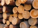 Снизился объем китайского импорта российской древесины