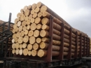 Возможное снижение пошлин на древесину