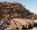 Новый лесозавод откроется в Бурятии в декабре