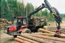Новые правила заготовки древесины