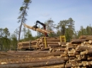 Лесопромышленники России не справляются с потенциалом лесов