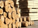 Алтайлес купит деревообрабатывающие станки у China FOMA Group
