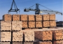 Объем переработки древесины внутри России может увеличиться до 78,5 %