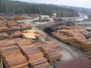 Экспорт лесоматериалов из Сибири превысил $600 миллионов