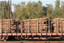 Россия приостановила поставки древесины хвойных пород в Финляндию