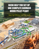 Excellent marketing in Indonesia totally timber biomass pellet assembly line price