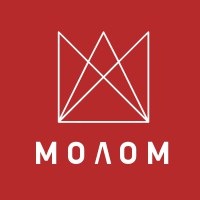 Перспективы развития деревообрабатывающей промышленности России. Мнение экспертов производителя оборудования марки «МОЛОМ»