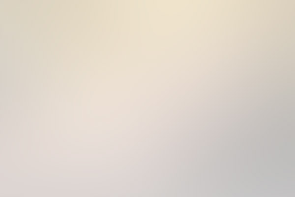 Гусеничный снегоболотоход, модель: ГАЗ 34039-22, год выпуска: 2013, гос. рег. знак: 65 СМ 0843, номер рамы/шасси: Т130612