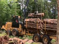 Продукт линии Caterpillar лесного хозяйства машины - предоставление решения от пня мельница
