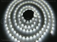 Светодиодная лента DreamLED 5x5 30 LED холодный и теплый белый