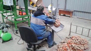 оборудование для фасовки овощей, картофеля, лука, моркови, корнеплодов, фруктов УД-5 с клипсатором