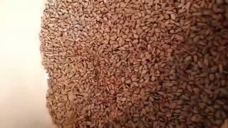 Видео работы аппарата барабанного типа универсального для обжарки семечек, орехов, зёрен кофе